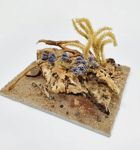 AntScape Biohobby 0223040101008