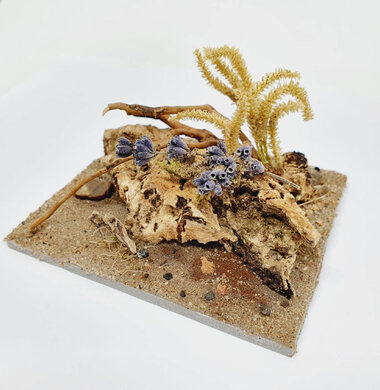 AntScape Biohobby 0223040101008