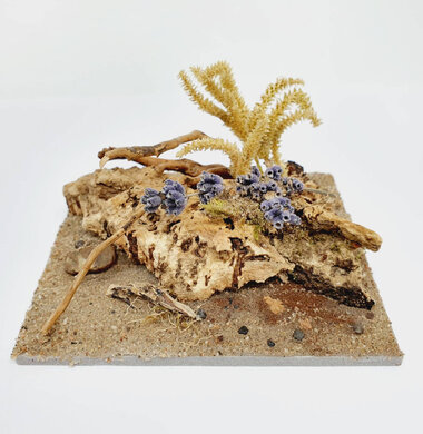 AntScape Biohobby 0223040101008