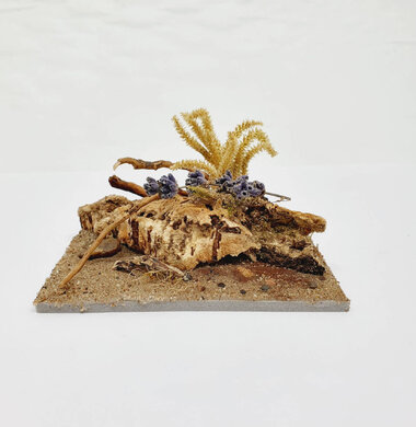 AntScape Biohobby 0223040101008