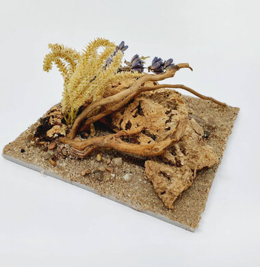 AntScape Biohobby 0223040101008
