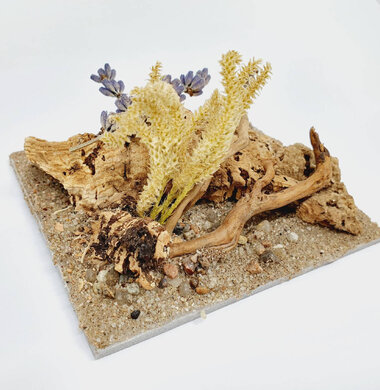 AntScape Biohobby 0223040101008