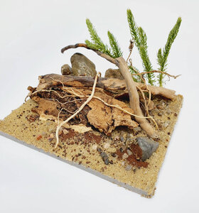 AntScape Biohobby 0223040101009