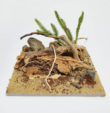 AntScape Biohobby 0223040101009