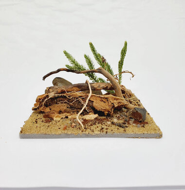 AntScape Biohobby 0223040101009