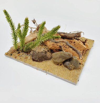 AntScape Biohobby 0223040101009