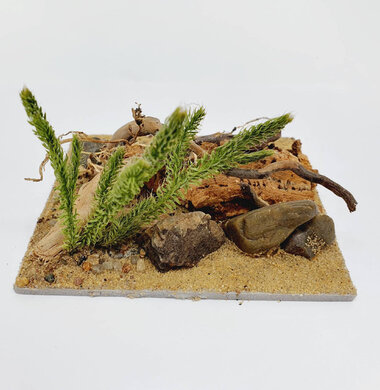 AntScape Biohobby 0223040101009