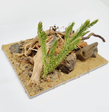 AntScape Biohobby 0223040101009