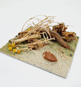 AntScape Biohobby 0223040101011