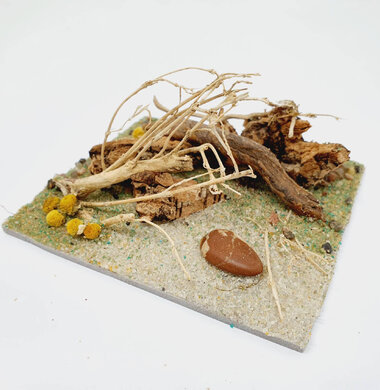 AntScape Biohobby 0223040101011