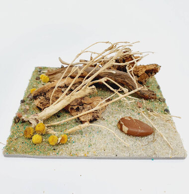 AntScape Biohobby 0223040101011