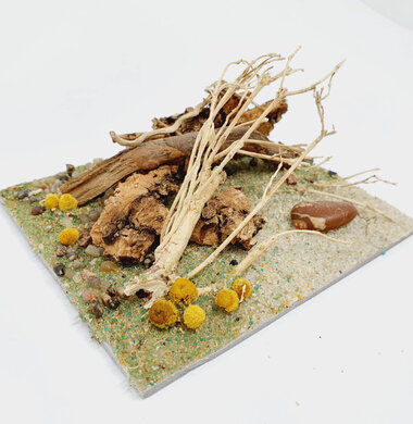AntScape Biohobby 0223040101011