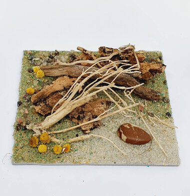 AntScape Biohobby 0223040101011
