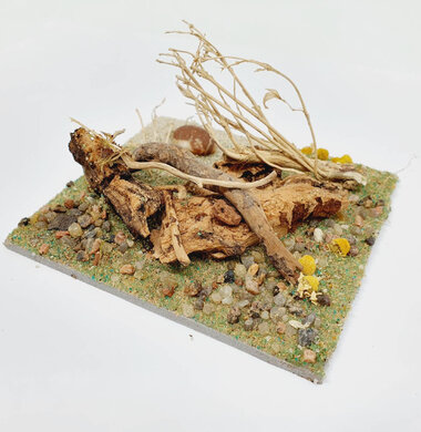 AntScape Biohobby 0223040101011