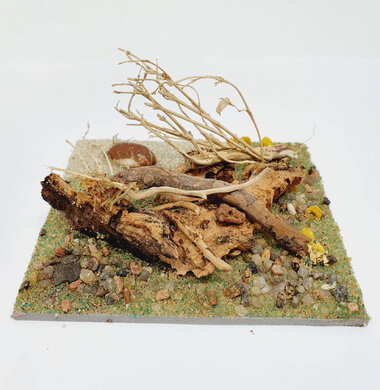 AntScape Biohobby 0223040101011