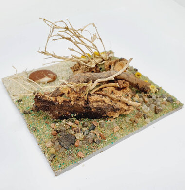 AntScape Biohobby 0223040101011