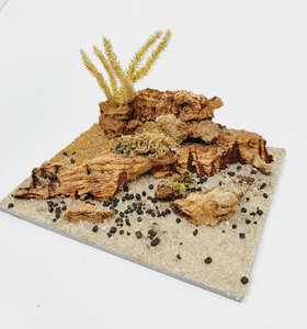 AntScape Biohobby 0223040101013