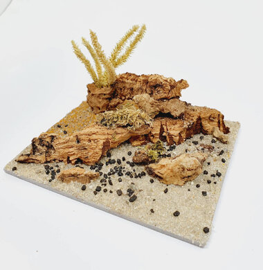 AntScape Biohobby 0223040101013