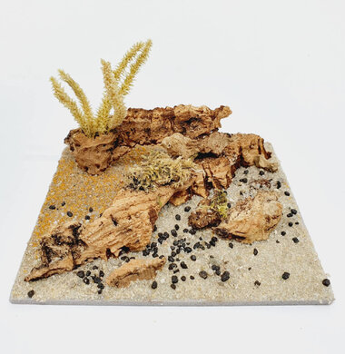 AntScape Biohobby 0223040101013