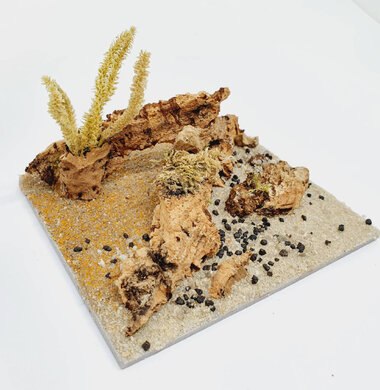 AntScape Biohobby 0223040101013