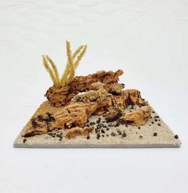 AntScape Biohobby 0223040101013