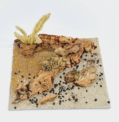 AntScape Biohobby 0223040101013