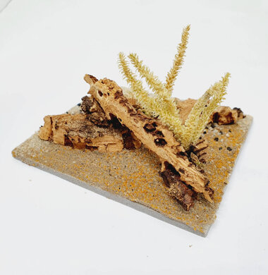 AntScape Biohobby 0223040101013