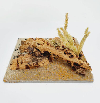 AntScape Biohobby 0223040101013