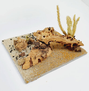 AntScape Biohobby 0223040101013