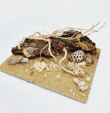 AntScape Biohobby 0223040102010