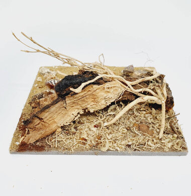 AntScape Biohobby 0223040102010