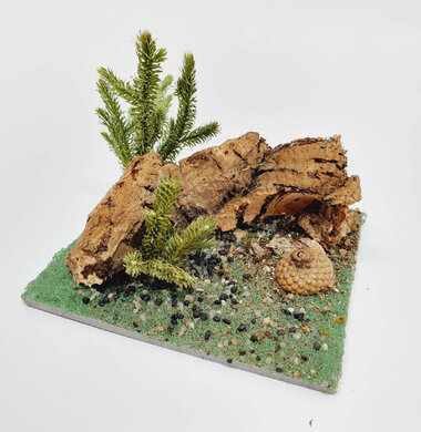 AntScape Biohobby 0223042801011