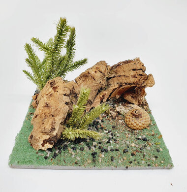 AntScape Biohobby 0223042801011