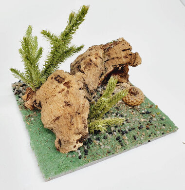 AntScape Biohobby 0223042801011