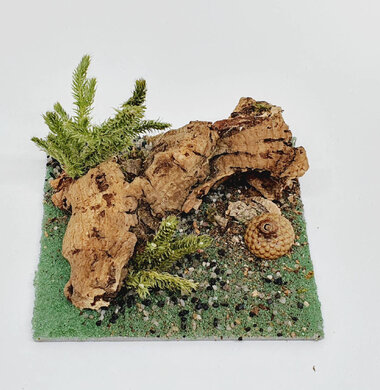 AntScape Biohobby 0223042801011