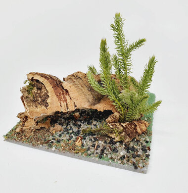 AntScape Biohobby 0223042801011