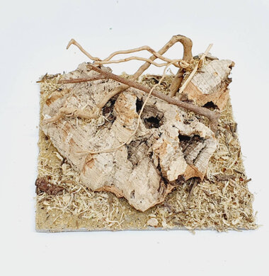 AntScape Biohobby 0223042801014