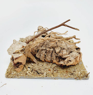 AntScape Biohobby 0223042801014