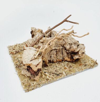 AntScape Biohobby 0223042801014