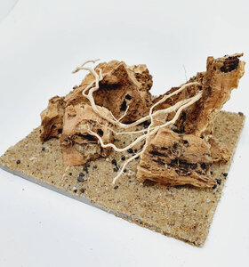 AntScape Biohobby 0223042801016