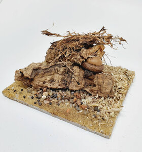 AntScape Biohobby 0223042801022