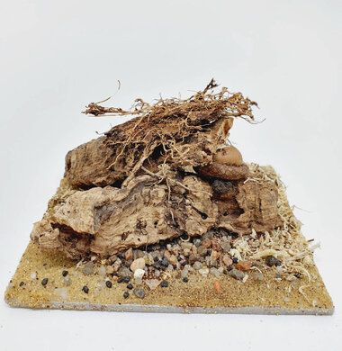 AntScape Biohobby 0223042801022