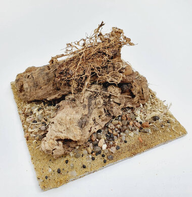 AntScape Biohobby 0223042801022