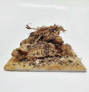 AntScape Biohobby 0223042801022