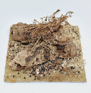 AntScape Biohobby 0223042801022