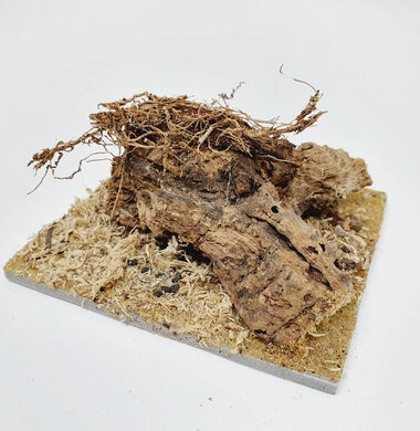 AntScape Biohobby 0223042801022