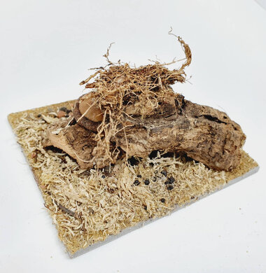 AntScape Biohobby 0223042801022