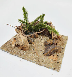 AntScape Biohobby 0223042801023