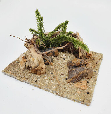 AntScape Biohobby 0223042801023