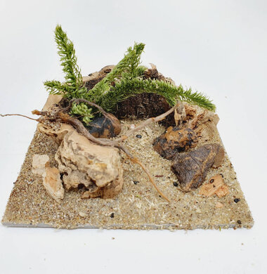 AntScape Biohobby 0223042801023